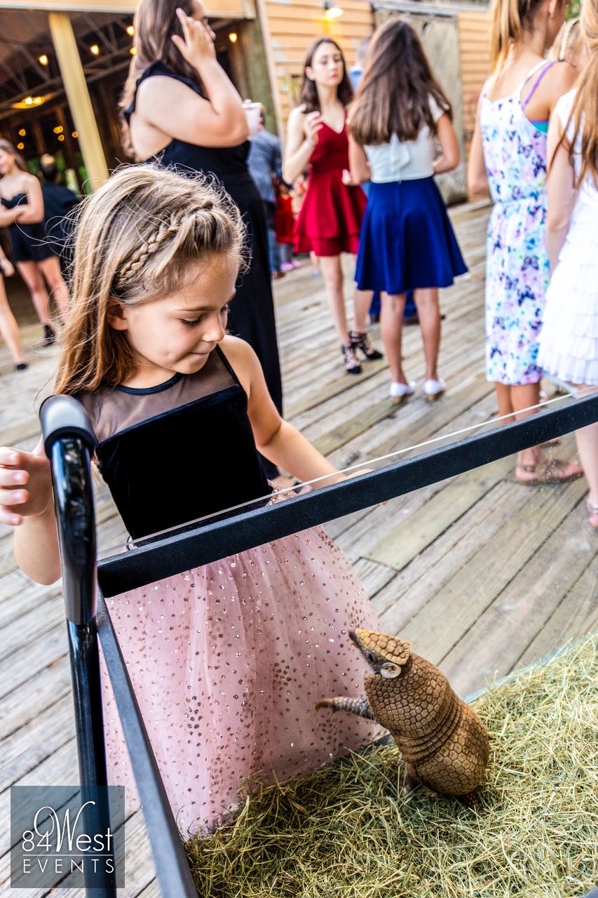 girl looking at armadillo